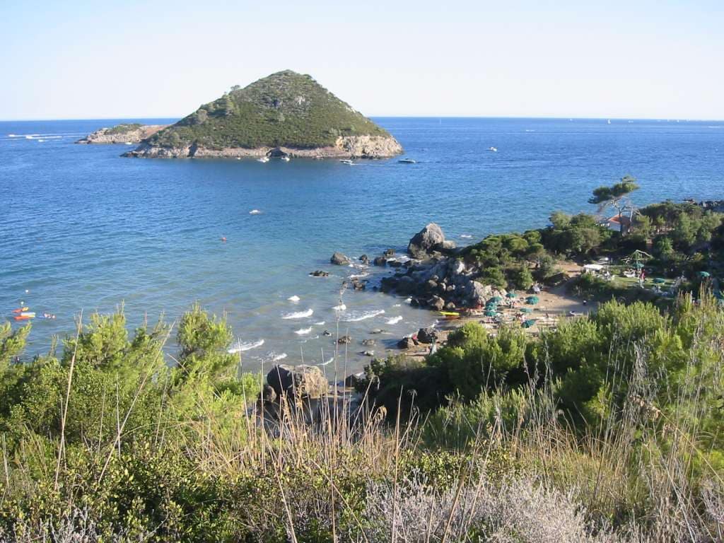 Von Bäumen gesäumter Strand mit einer kleinen Insel, blauem Meer und üppiger Vegetation.