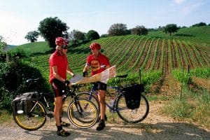 Aktywności rowerowe oferowane na farmie